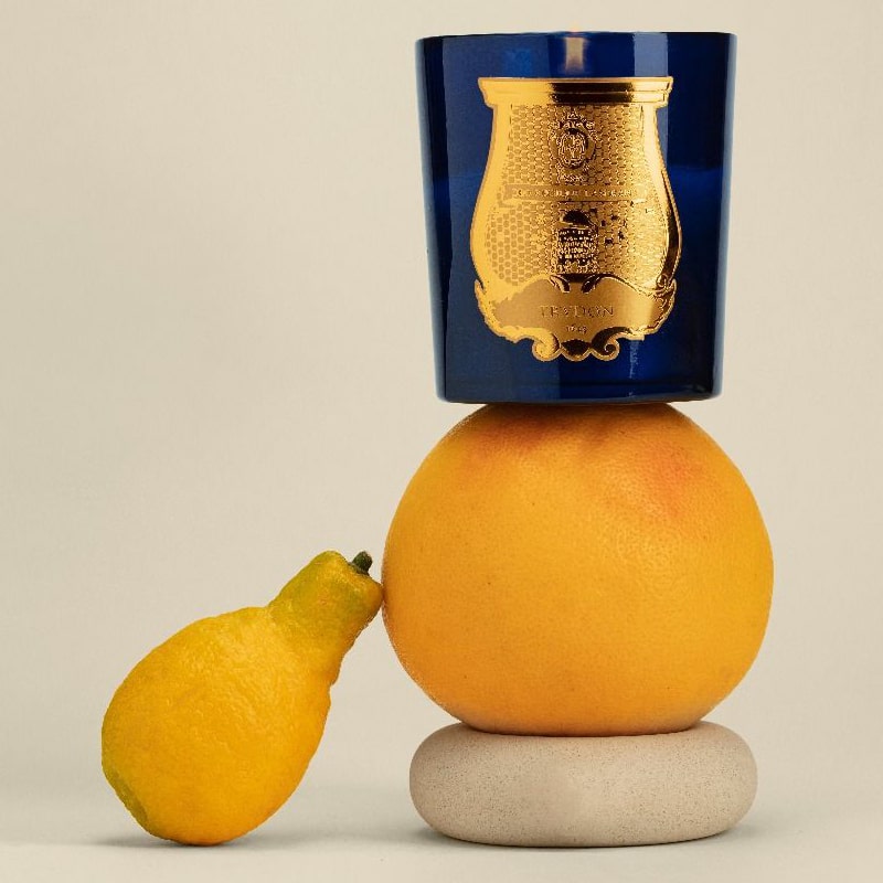 Lifestyle shot of Trudon Salta Candle (9.5 oz) balanced on top of large piece of fruit