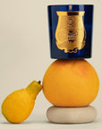 Lifestyle shot of Trudon Salta Candle (9.5 oz) balanced on top of large piece of fruit