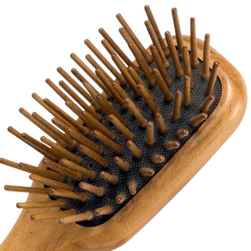 Burstenhaus Redecker Pocket Hairbrush - Mini (close up detail of brush head and bristles)