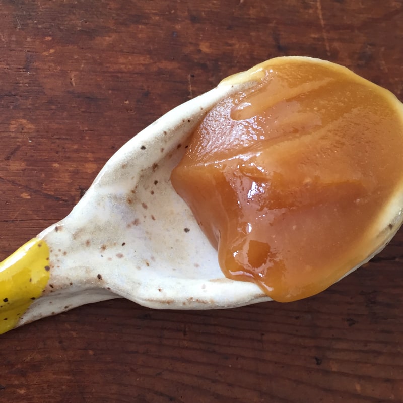 Activist Raw Manuka Honey 100+ MGO sample shown on spoon to show color and texture