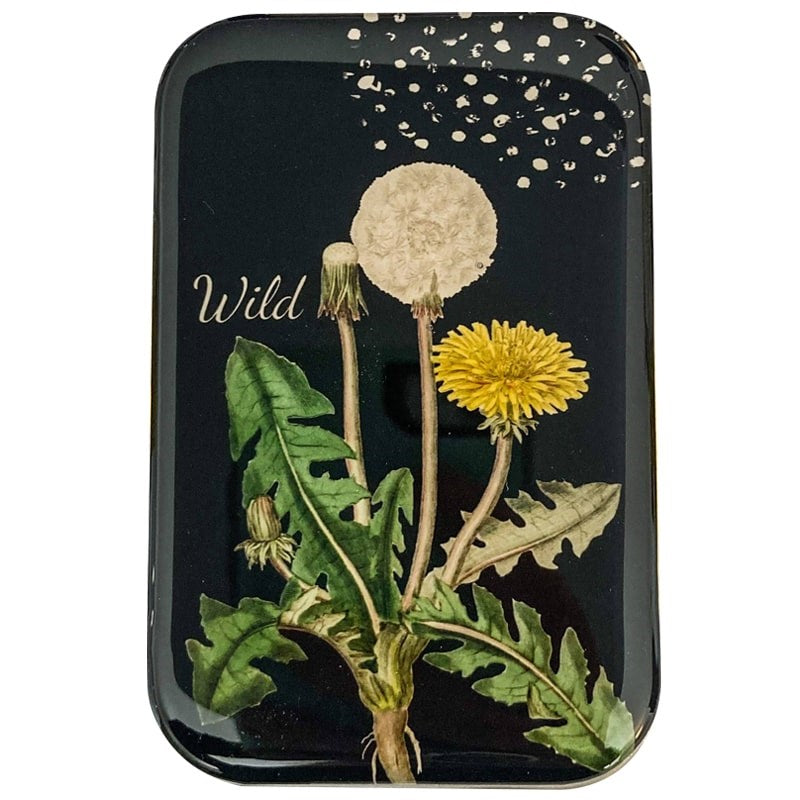 Firefly Notes Dandelions Notions Tin - Large (1 pc)