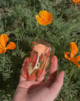 California Poppy Claw - Beautyhabit