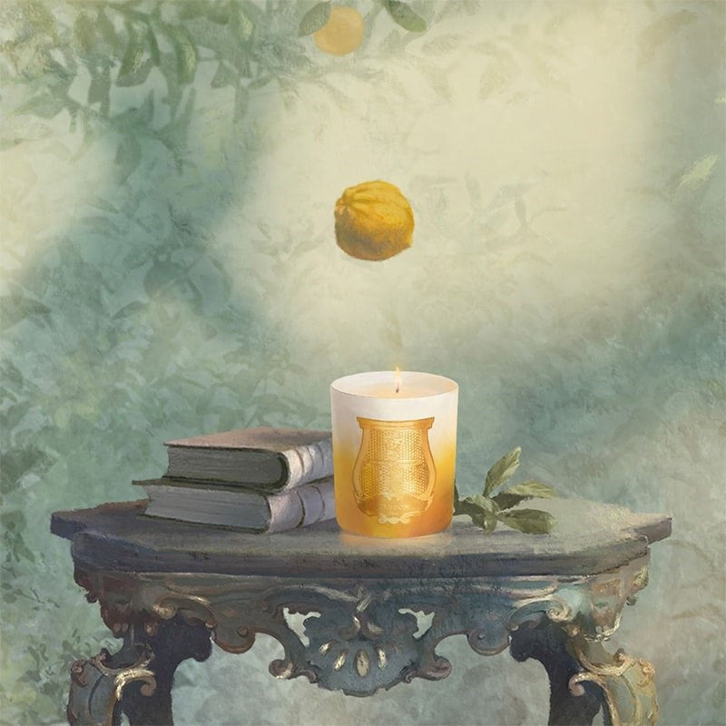 Trudon De Oro Candle - illustration of candle on table with books and a falling orange