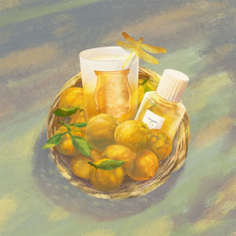 Trudon Isla Eau De Parfum - illustration of bottle and candle in a basket with oranges and dragonfly 