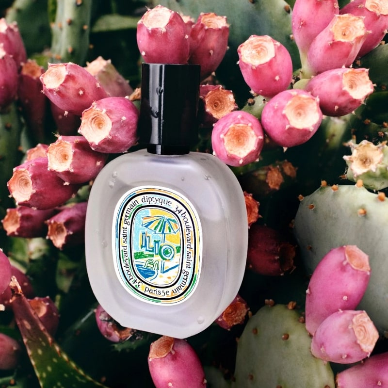 Diptyque Ilio Hair Mist - product shown on top of cactus 