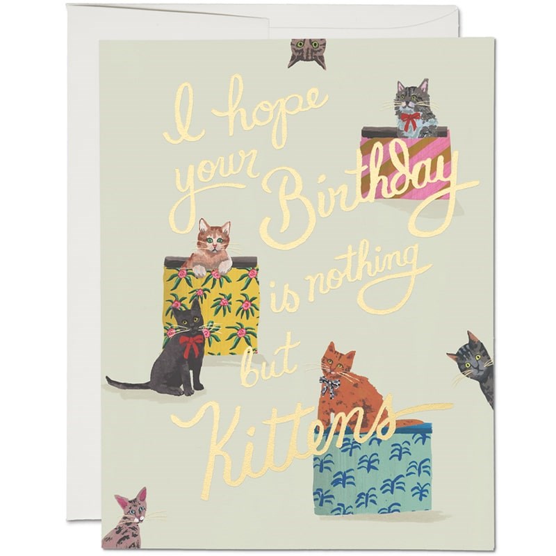 Red Cap Cards Nothing But Kittens Greeting Card (1 pc)