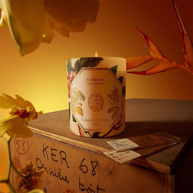 Carriere Freres Frangipani Candle - product shown on wooden box surrounded by flowers