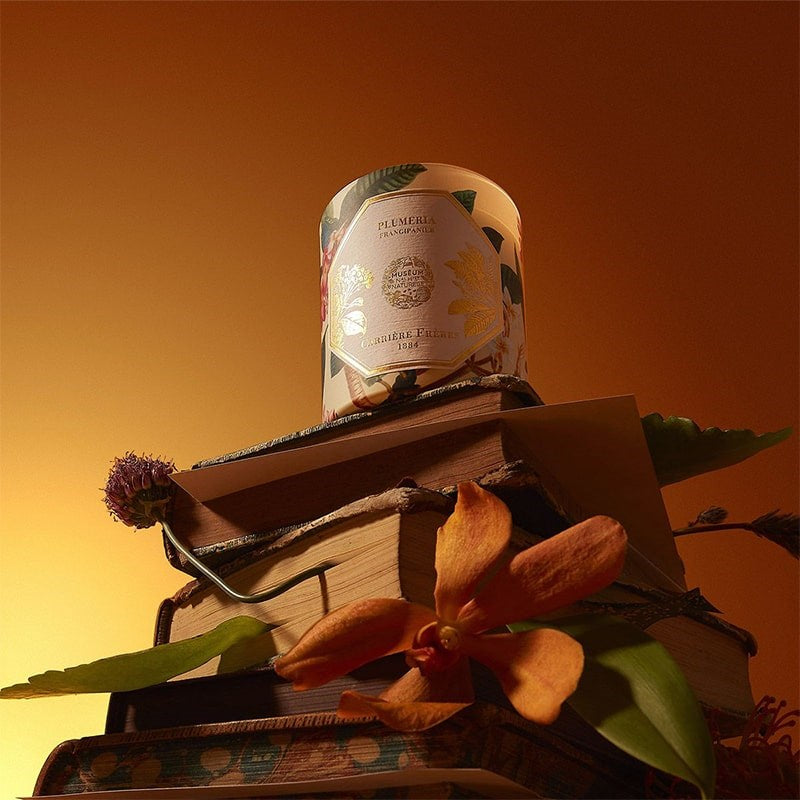 Carriere Freres Frangipani Candle - product shown stacked on top of books and flowers