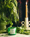 ROEN Candles Casa Polanco Scented Candle - product shown next to plants and lit candle