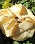 Goose Summer Honey Silk Scrunchie (1 pc)