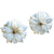 Peony Mother-Of-Pearl Gold Plated  Earrings