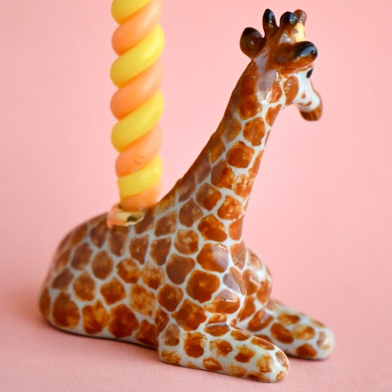 Camp Hollow Giraffe Cake Topper - backside of product details