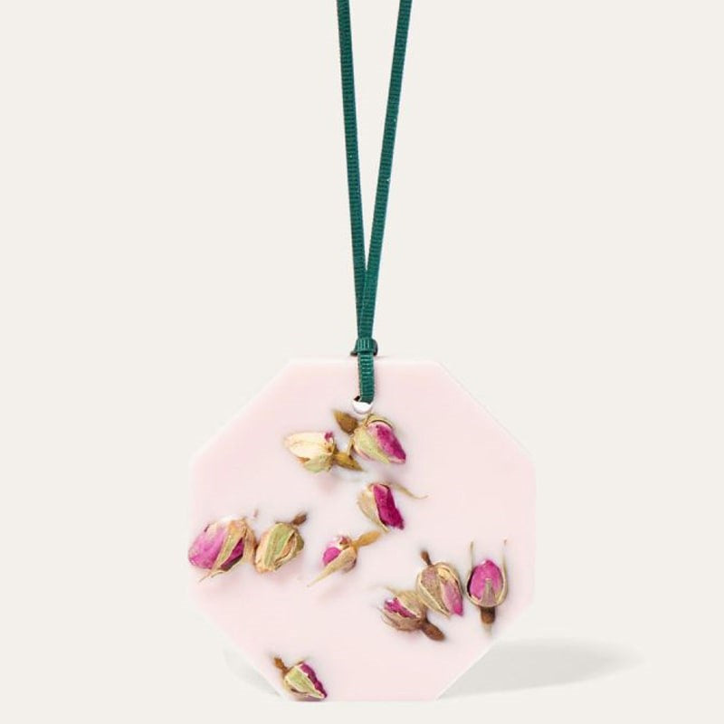 Carriere Freres Rose Mint Botanical Palet - product shown hanging with ribbon