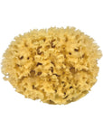 Croll & Denecke Natural Sponge - Large (1 pc)