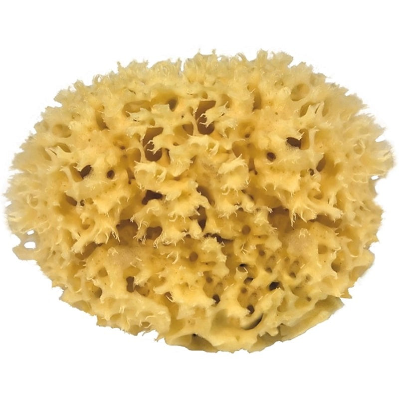 Croll & Denecke Natural Sponge - Gigantic (1 pc)