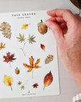 Emily Lex Studio Autumn Sticker Sheets - model shown holding product with leaf