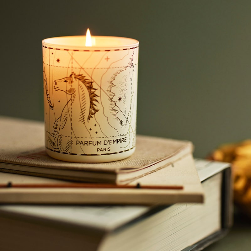 Parfum d&#39;Empire Mauvaises Herbes Scented Candle - product shown lit on top of books