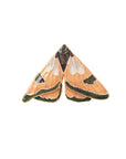 Fable England Enamel Moth Brooch (1 pc)