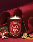 Diptyque Limited Edition Friandise Candle - lit product shown next toholiday treats and felt