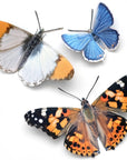 Moth & Myth Pacific Northwest Butterfly Set (3 pcs)