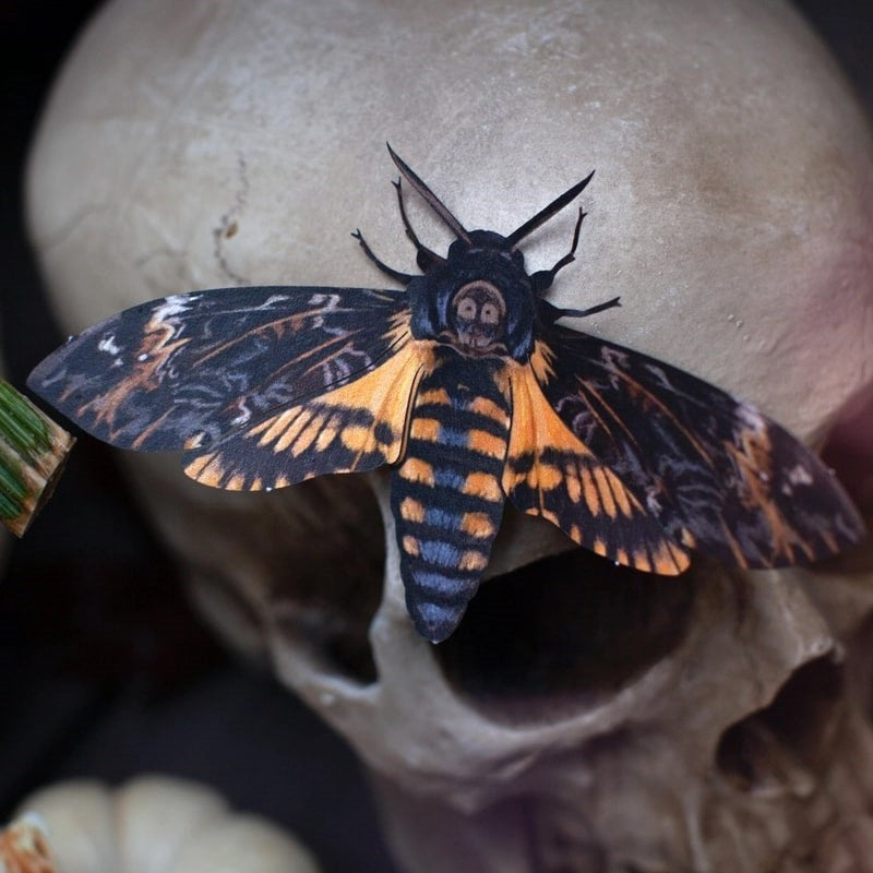 Close up of Moth & Myth Halloween Death's Head Moth