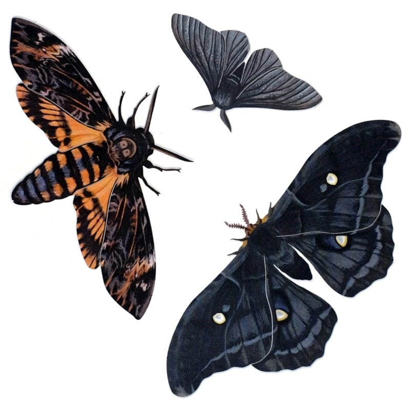 Moth & Myth Halloween Death's Head Moth Set (3 pcs)