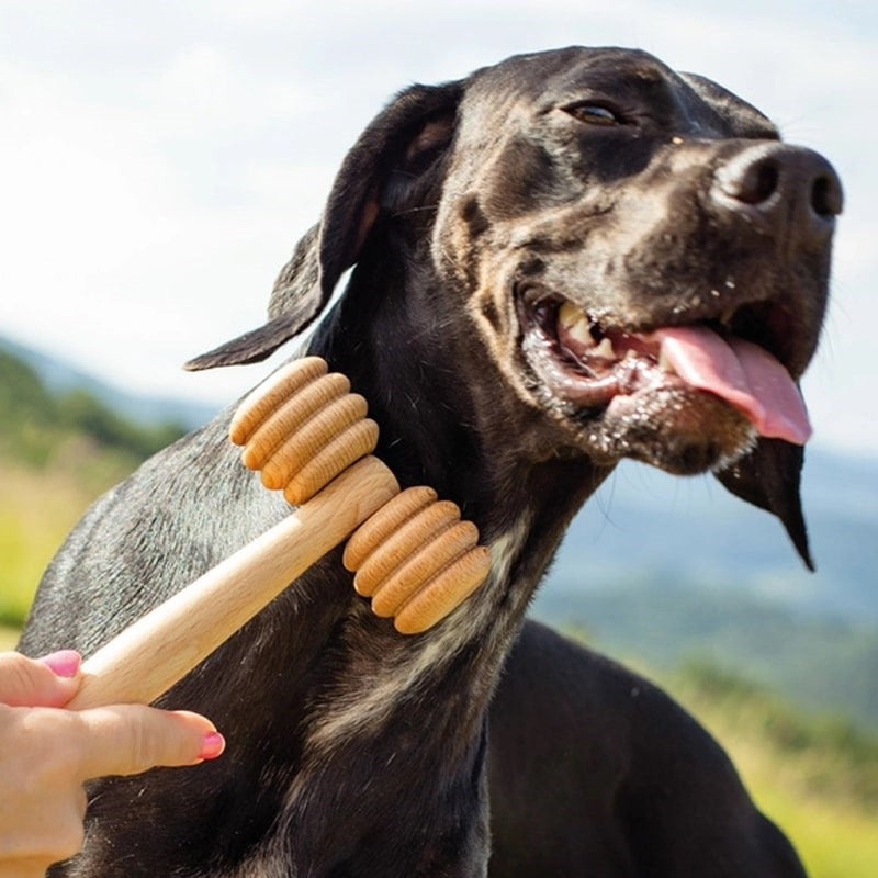 Tuuli Wooden Massage Roller For Pets - model shown using product on dog