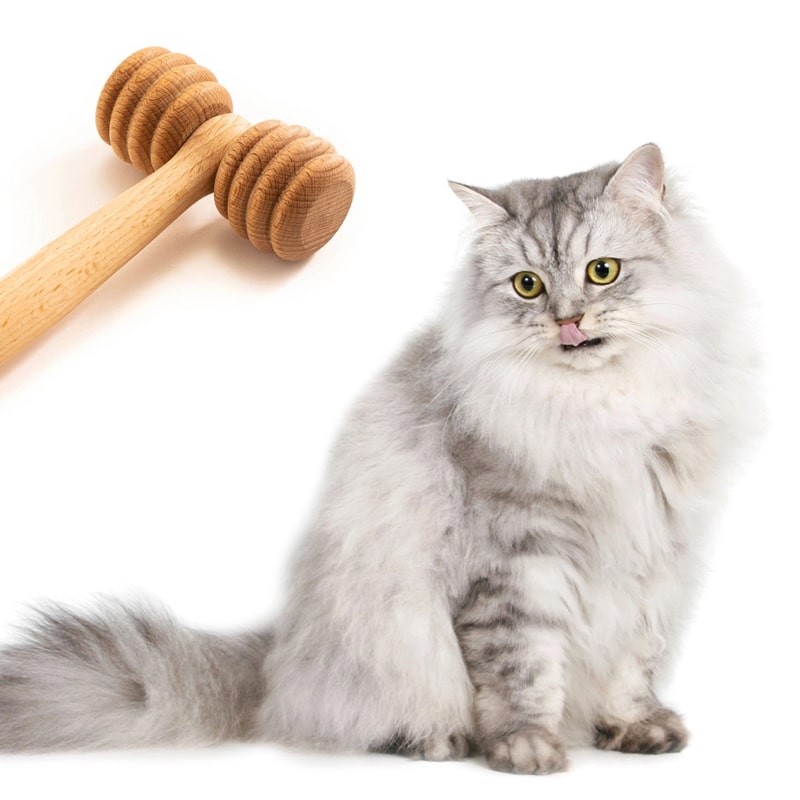 Tuuli Wooden Massage Roller For Pets - product shown and can be used on cats