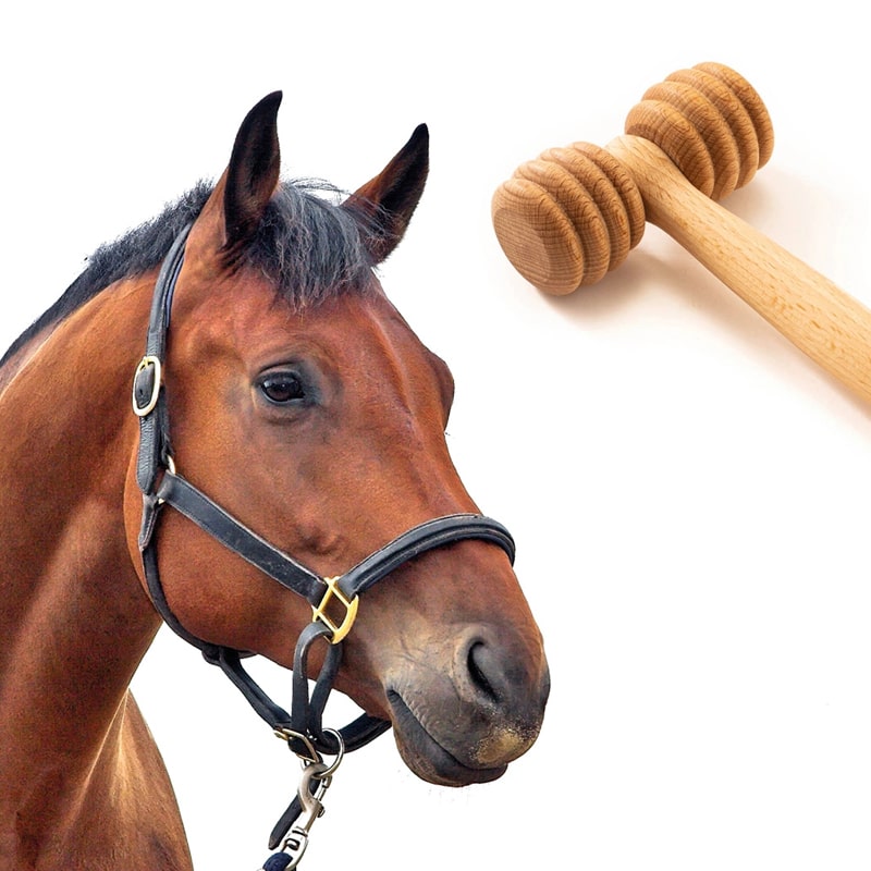 Tuuli Wooden Massage Roller For Pets - product shown and can be used on horses