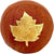 Mini Surprise Ball Thanksgiving Fall Golden Leaf