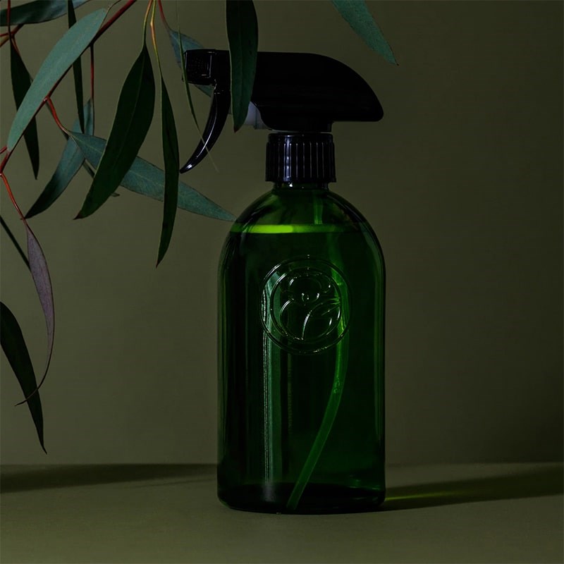 Koala Eco Apothecary Glass Bottle and Trigger - product shown next to plant