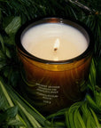 Flamingo Estate Organics Douglas Fir & Ancient Vetiver Candle - product shown in plants