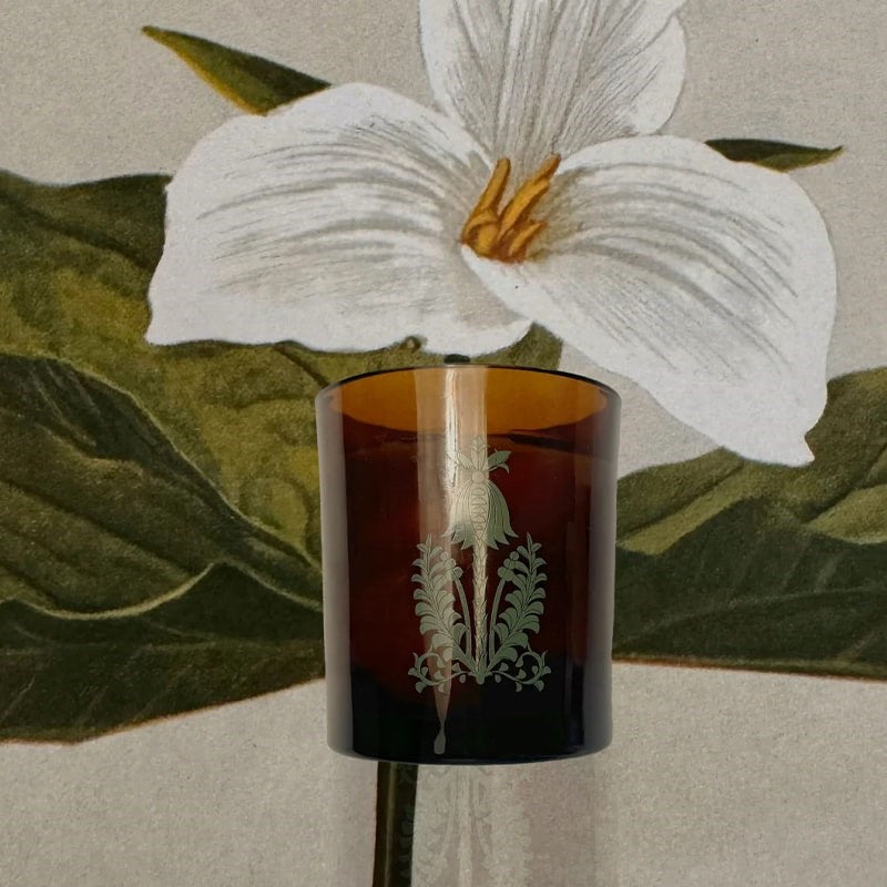 The Quiet Botanist 426 Scented Candle - product shown in front of flower drawing