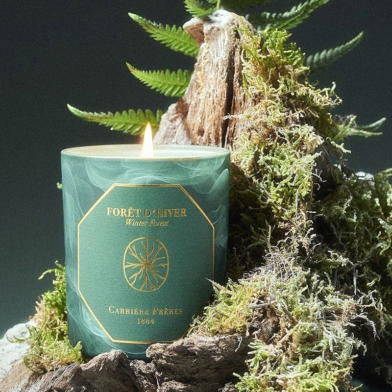 Carriere Freres Winter Forest Candle - product shown lit by moss and plants