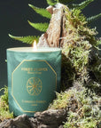 Carriere Freres Winter Forest Candle - product shown lit by moss and plants