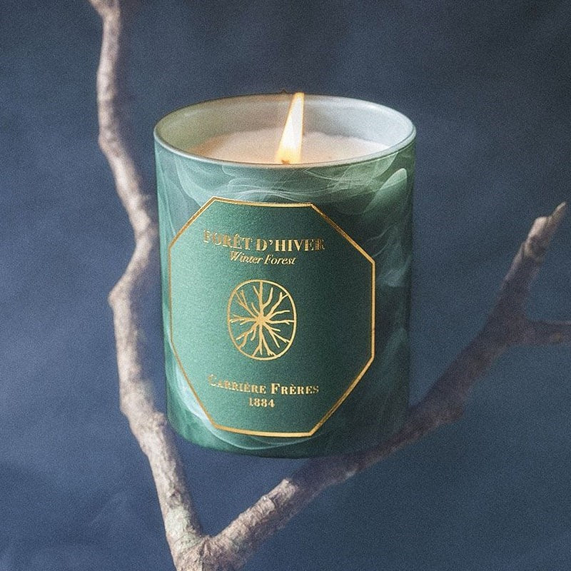 Carriere Freres Winter Forest Candle - product shown lit on a branch