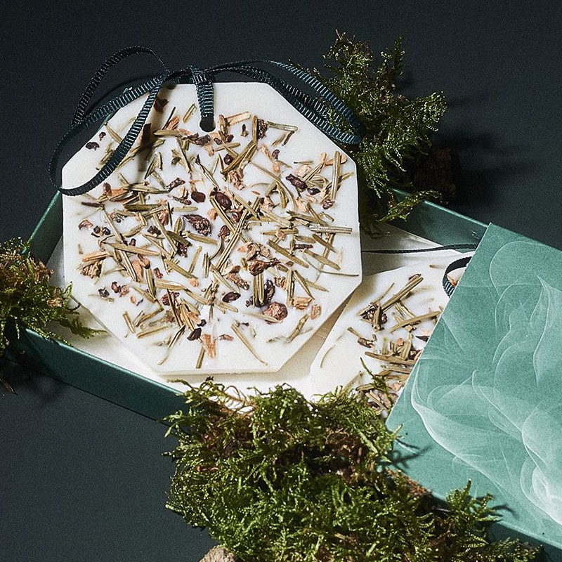 Carriere Freres Winter Forest Botanical Palet - product shown with moss in packaging