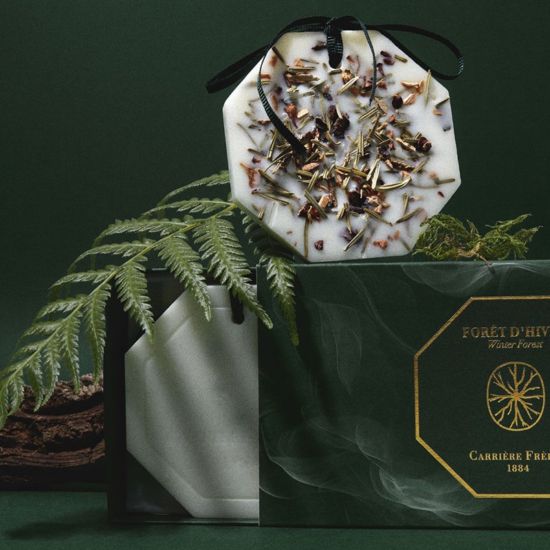 Carriere Freres Winter Forest Botanical Palet - product shown on top of packaging