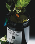 Sangre de Fruta Garden of Earthly Delights Botanical Candle - product shown lit by berries and flower and beetle