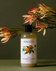 Koala Eco Natural Floor Cleaner - Mandarin and Peppermint - product shown in front of plant