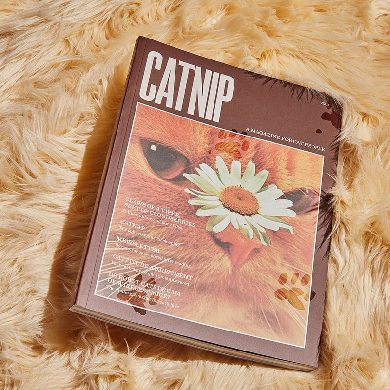 Broccoli Catnip Magazine - product shown on furry carpet