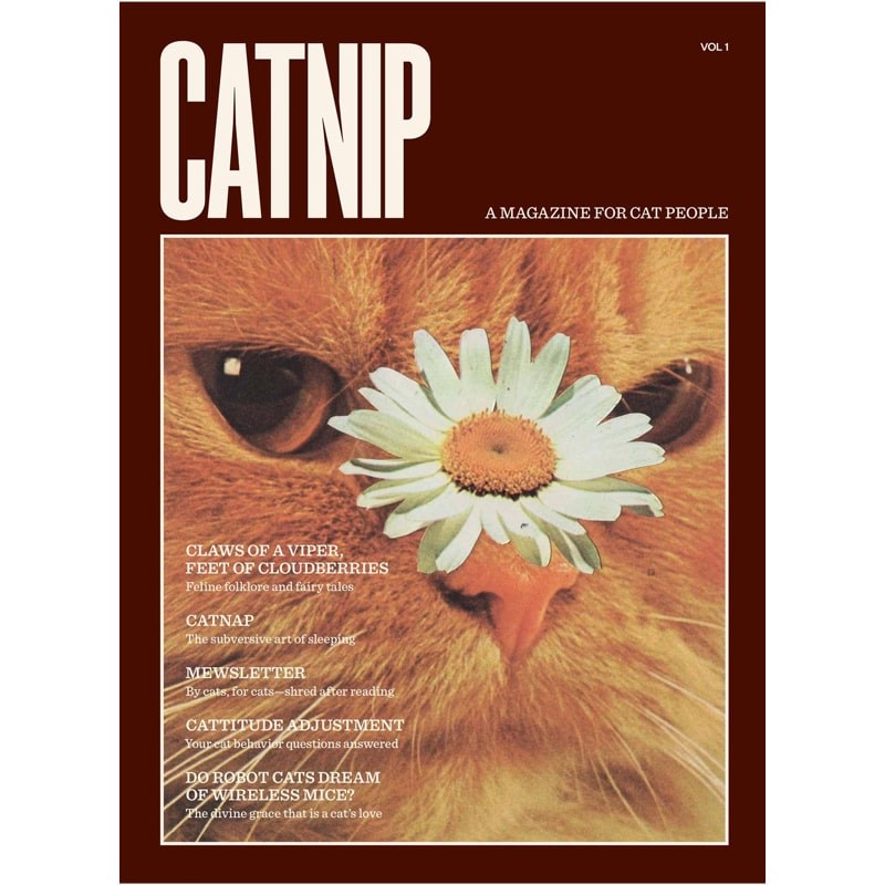 Broccoli Catnip Magazine (1 pc)