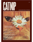 Broccoli Catnip Magazine (1 pc)