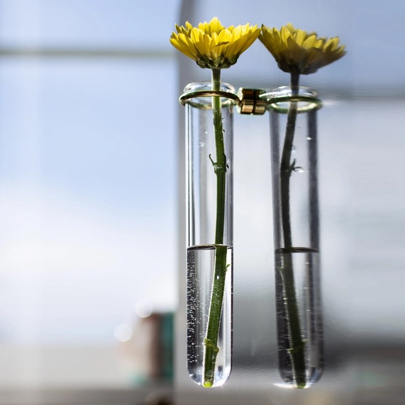 Three by Three Seattle Magnetic Clear Vase - Gold - product shown attached to fridge with flower inside