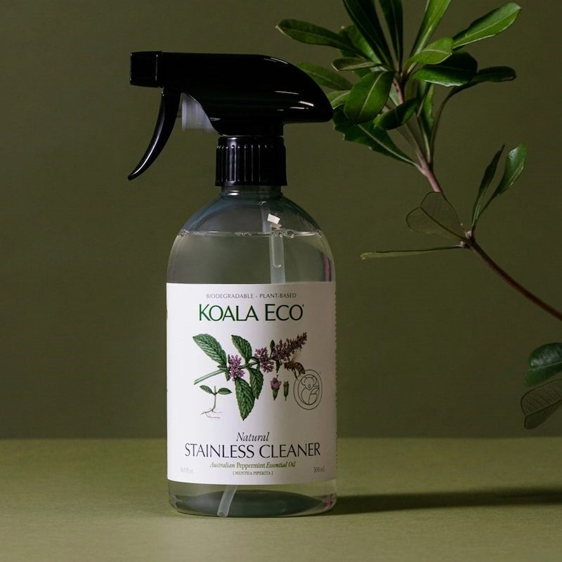 Koala Eco Natural Stainless Cleaner - product shown next to plant