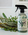 Koala Eco Natural Stainless Cleaner - product shown next to plants