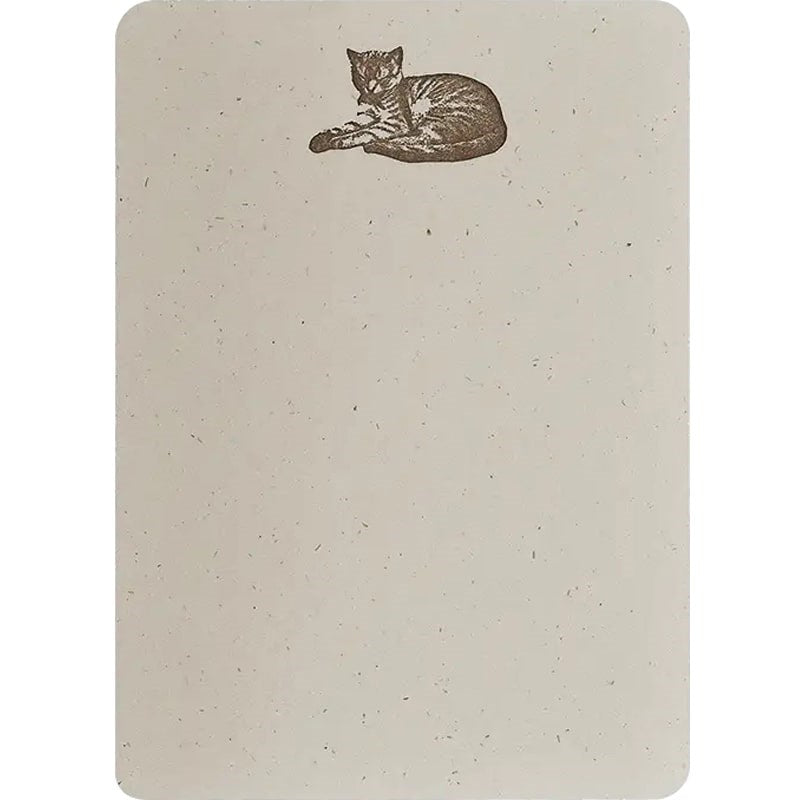 Folio Press & Paperie Cat Nap Notecards (8 pcs)