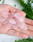 Wax Apothecary Rose Quartz Crystal Mini Heart - model shown holding multiple products in hand next to plants