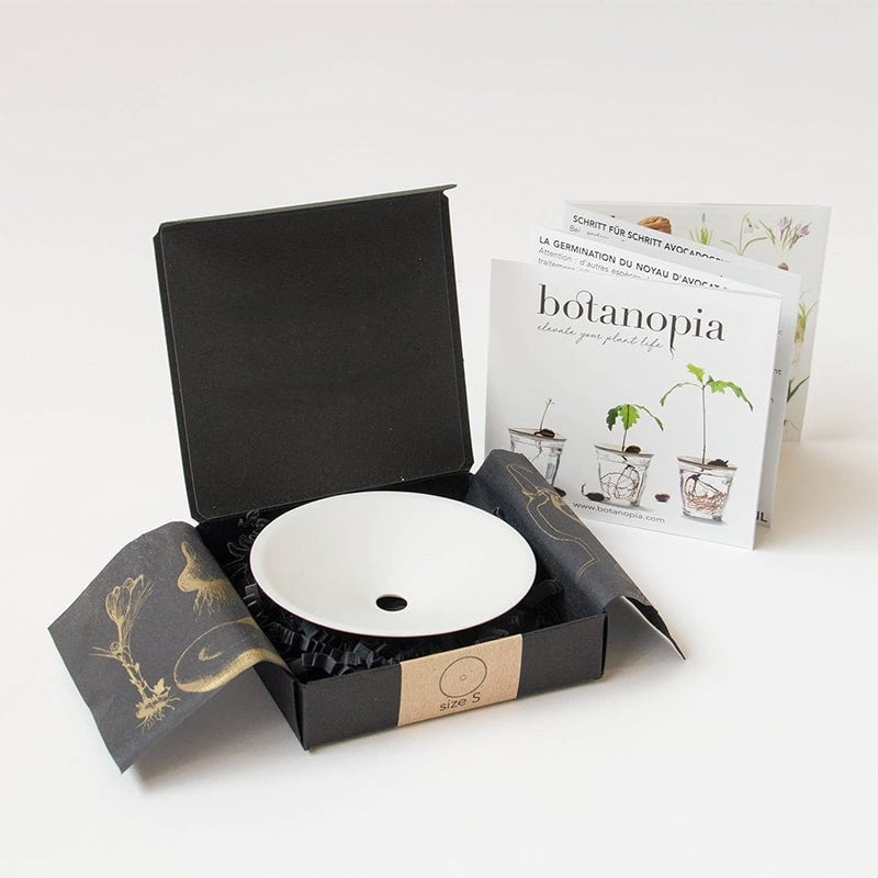 Botanopia Porcelain Germination & Propagation Plate - Small - product shown inside packaging next to included brochure 