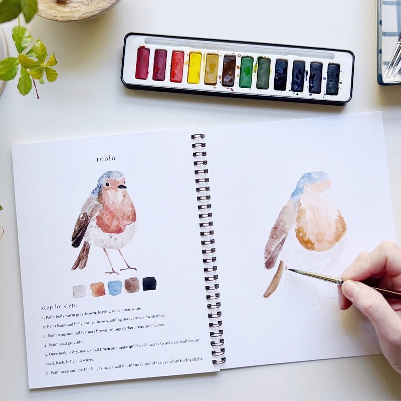 Emily Lex Studio Watercolor Paint Set – Beautyhabit